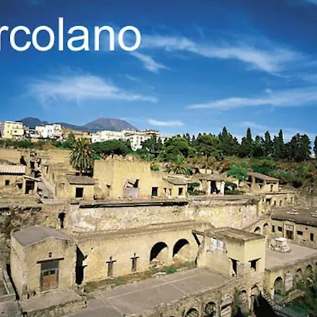 Azalea Διαμέρισμα