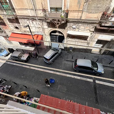 Διαμέρισμα Azalea